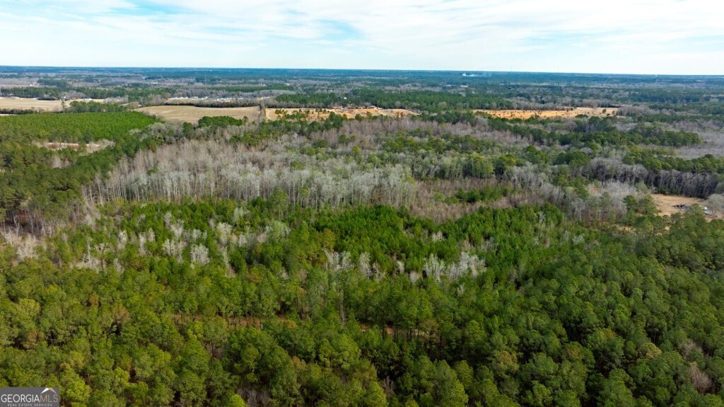 0 Riggs Mill La Riggs Mill Lane Statesboro GA 30458