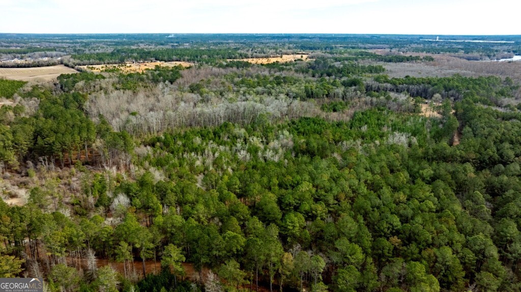 0 Riggs Mill La Riggs Mill Lane Statesboro GA 30458