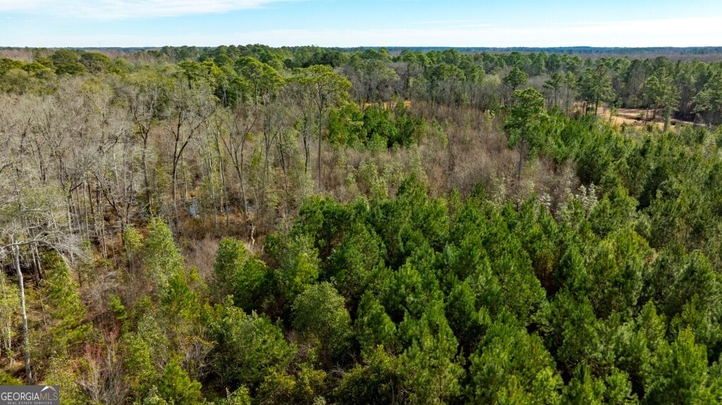 0 Riggs Mill La Riggs Mill Lane Statesboro GA 30458
