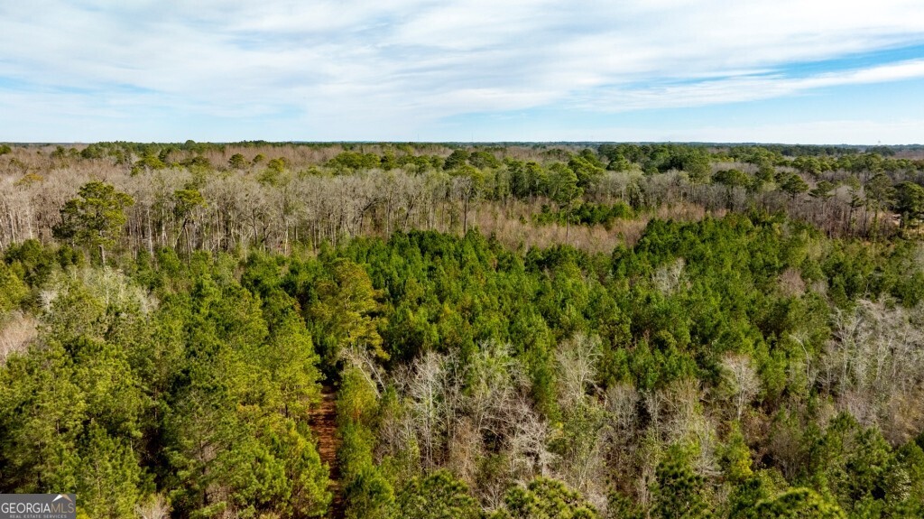 0 Riggs Mill La Riggs Mill Lane Statesboro GA 30458