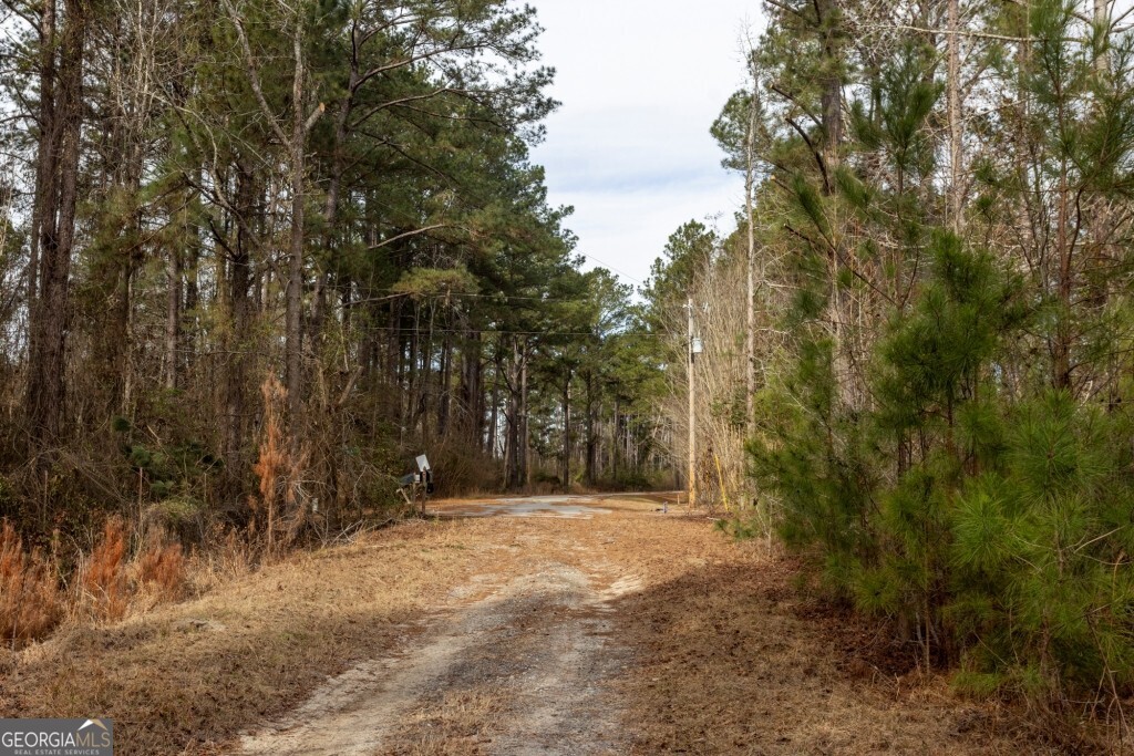 0 Riggs Mill La Riggs Mill Lane Statesboro GA 30458