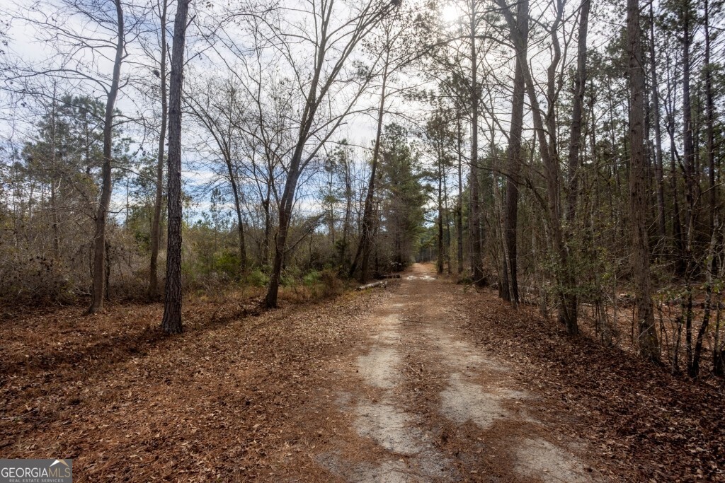 0 Riggs Mill La Riggs Mill Lane Statesboro GA 30458