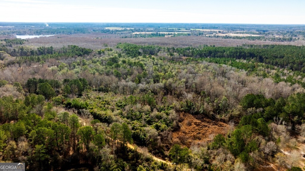 0 Riggs Mill La Riggs Mill Lane Statesboro GA 30458
