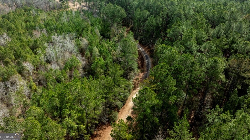 0 Riggs Mill La Riggs Mill Lane Statesboro GA 30458