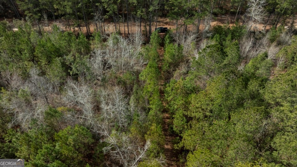 0 Riggs Mill La Riggs Mill Lane Statesboro GA 30458