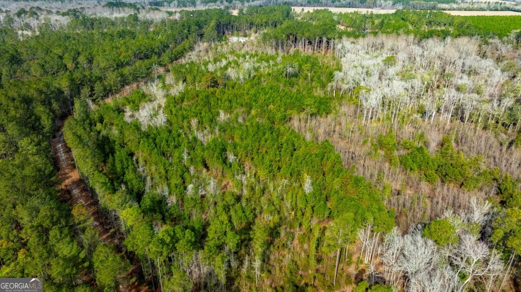 0 Riggs Mill La Riggs Mill Lane Statesboro GA 30458