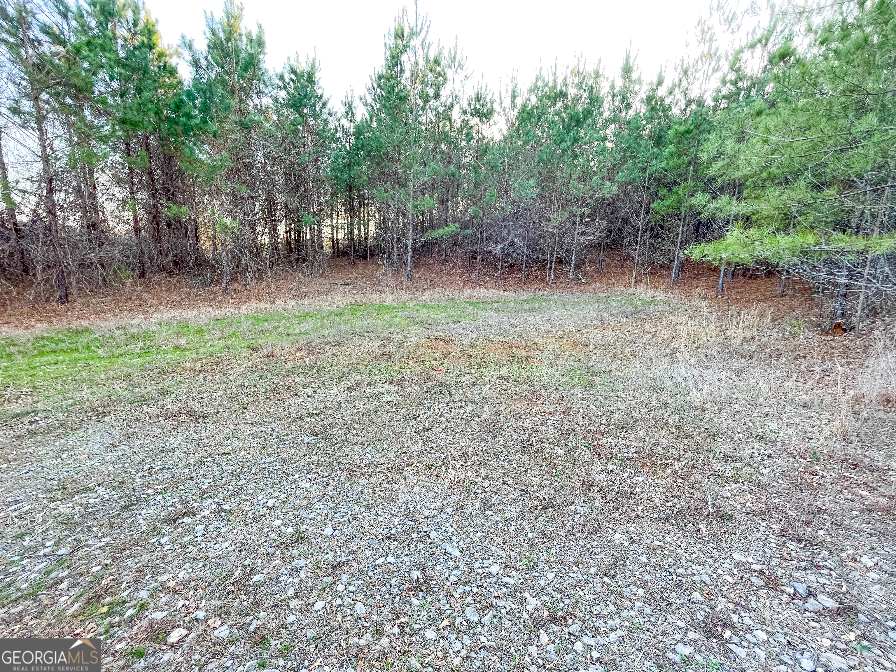 91 +/- Acres On Fosters Mill Road (GA Highway 100) Cave Spring GA 30124