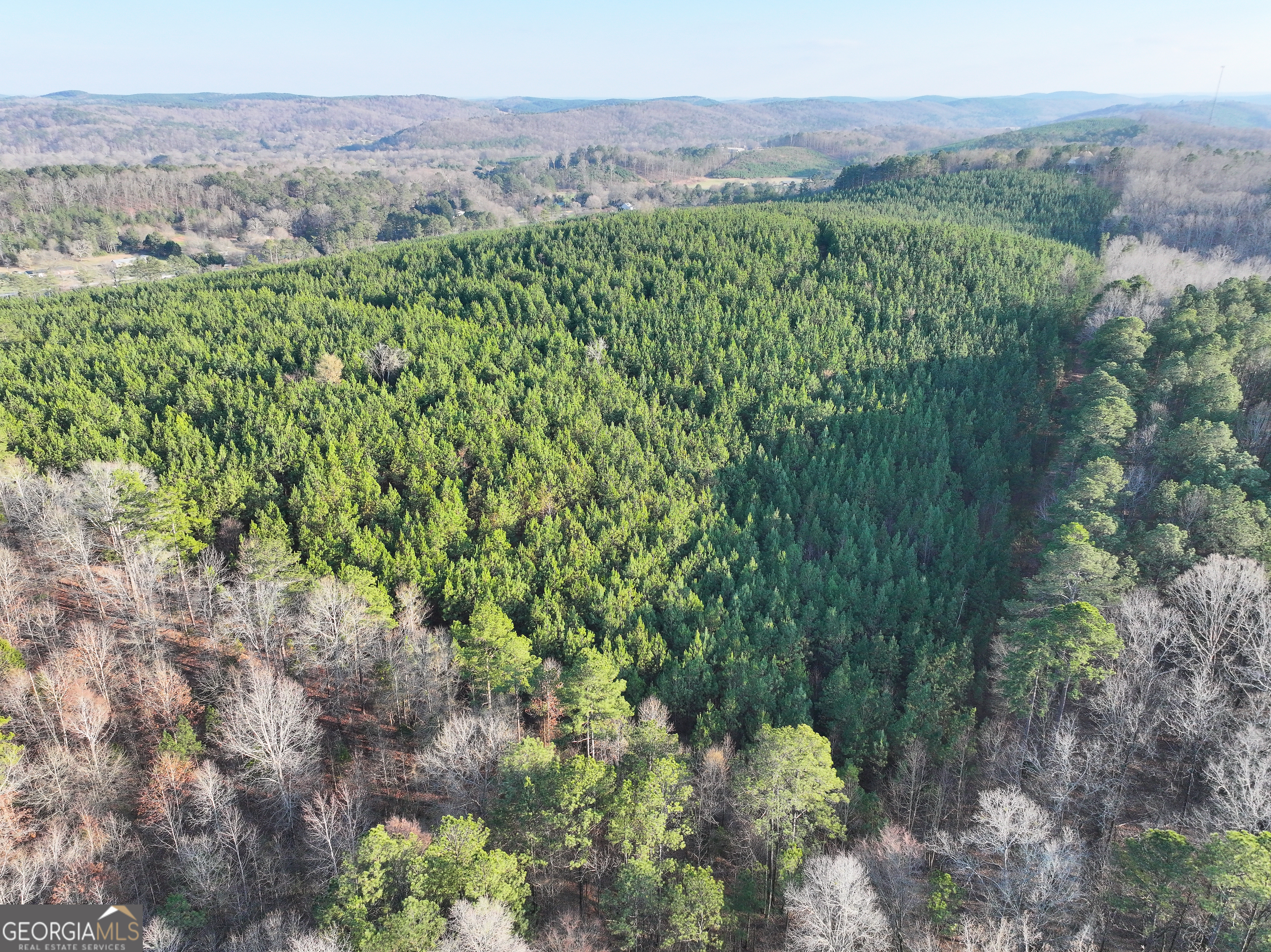 91 +/- Acres On Fosters Mill Road (GA Highway 100) Cave Spring GA 30124
