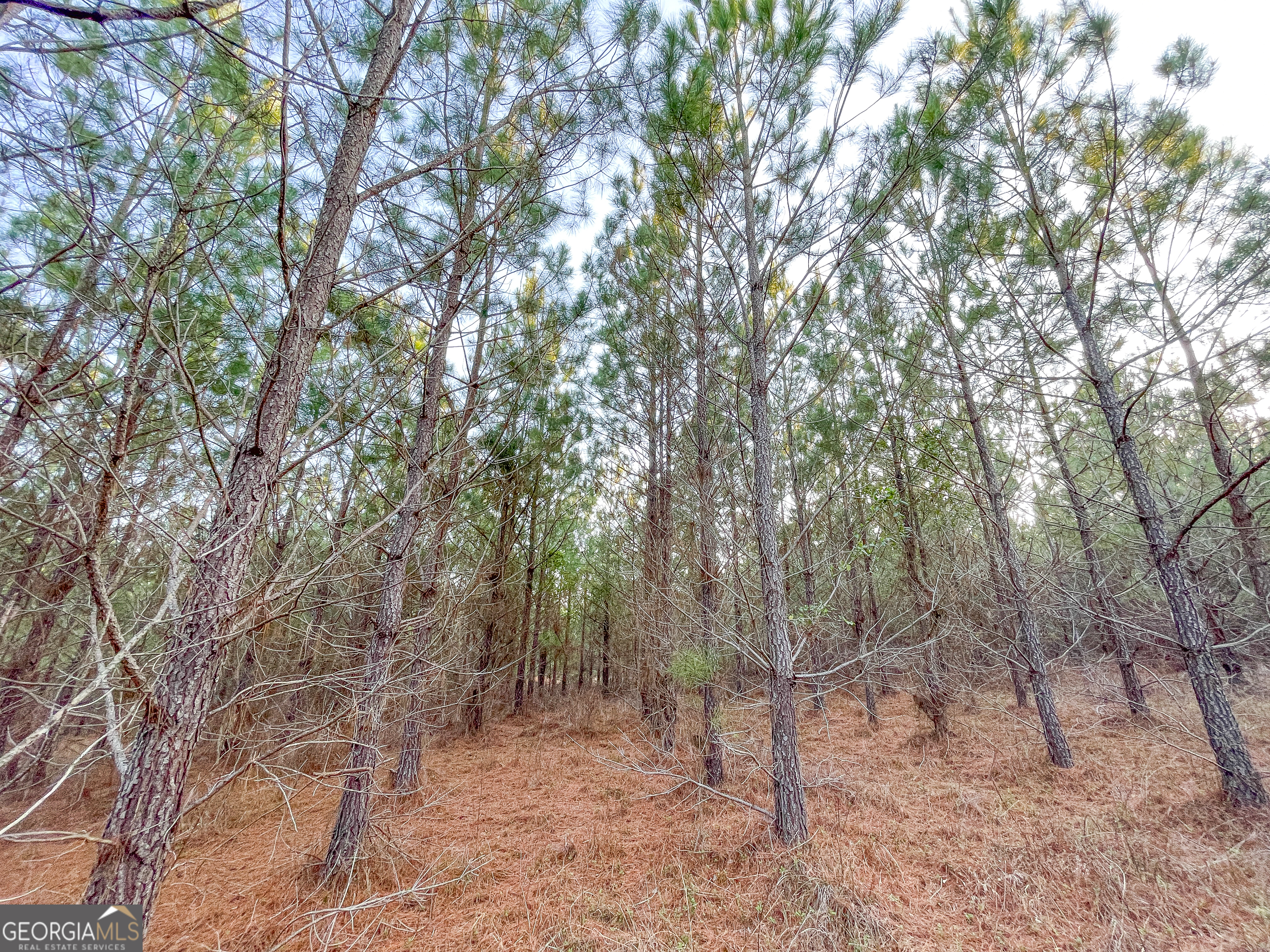 91 +/- Acres On Fosters Mill Road (GA Highway 100) Cave Spring GA 30124