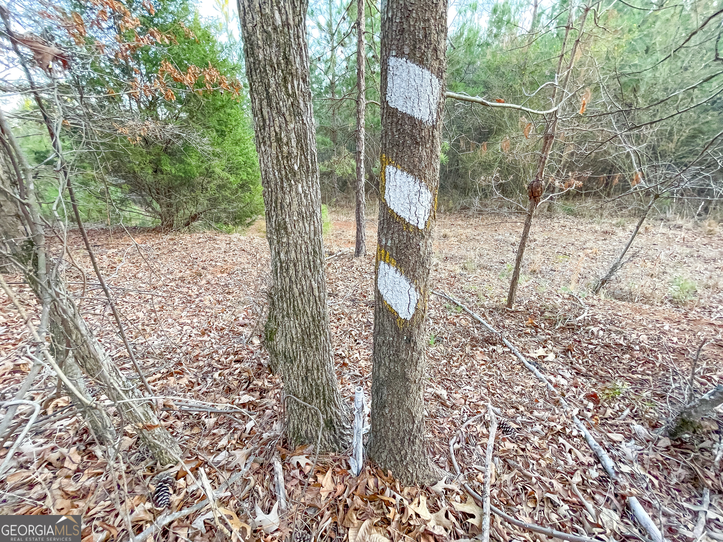 91 +/- Acres On Fosters Mill Road (GA Highway 100) Cave Spring GA 30124