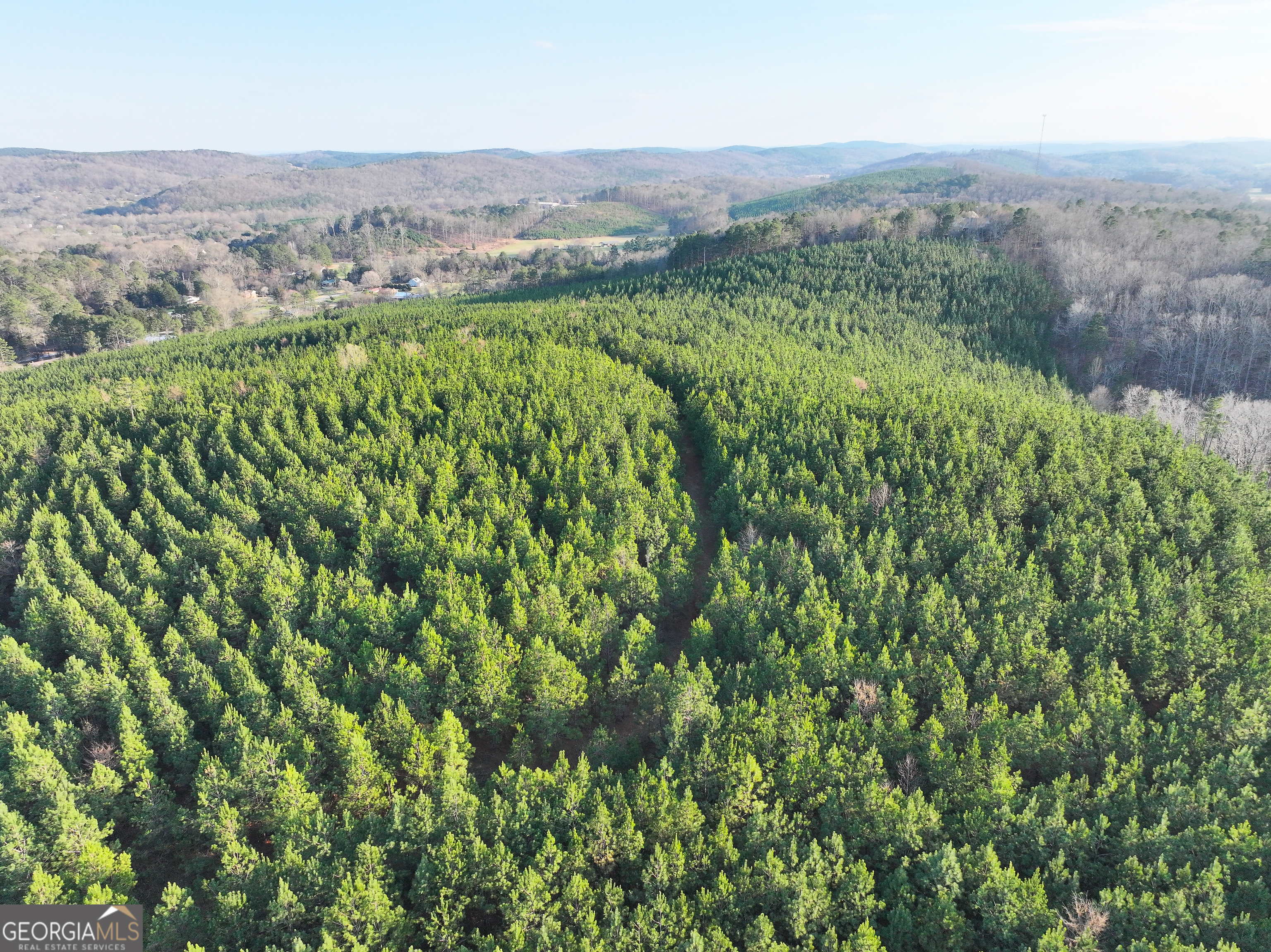 91 +/- Acres On Fosters Mill Road (GA Highway 100) Cave Spring GA 30124