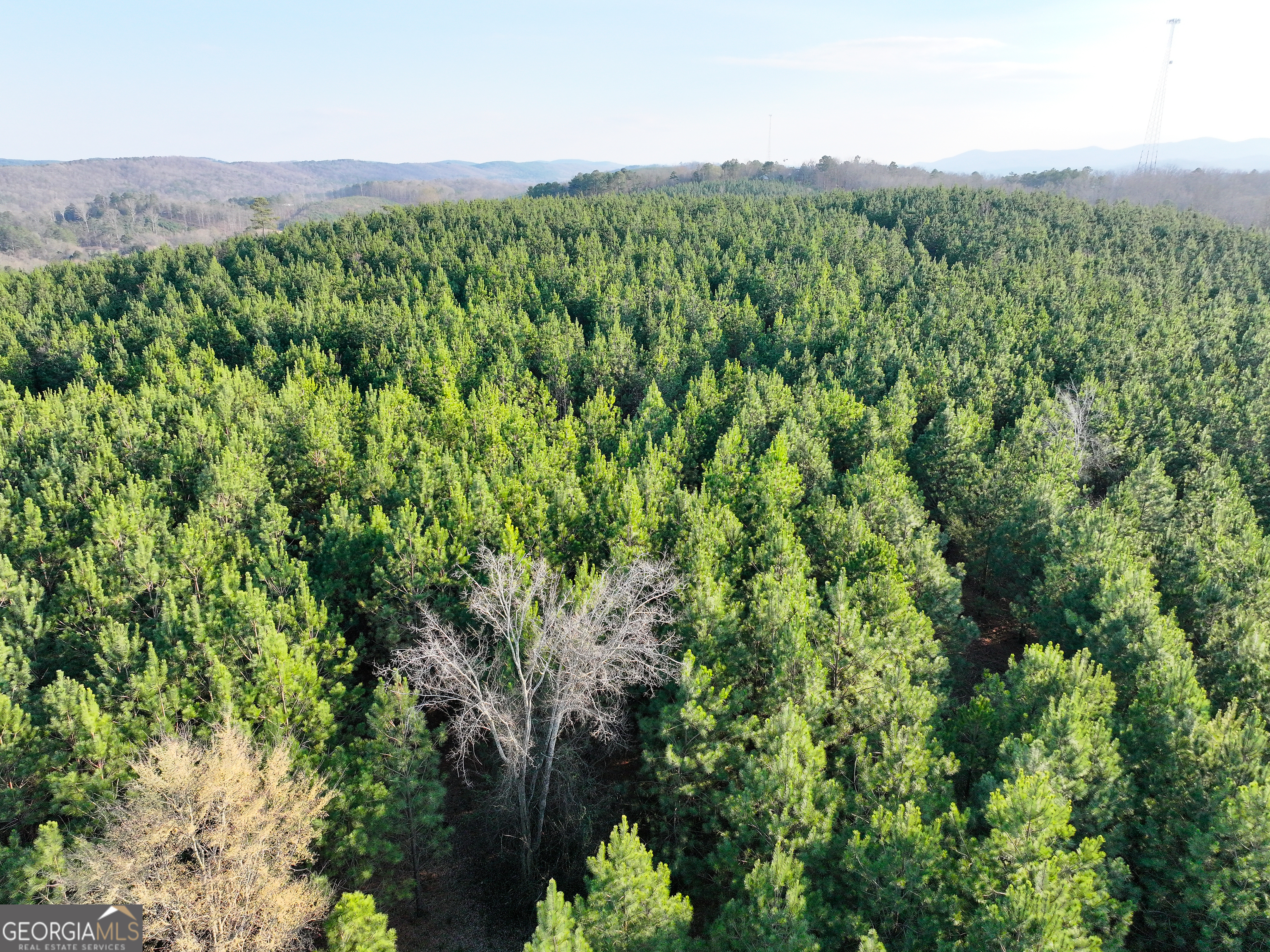 91 +/- Acres On Fosters Mill Road (GA Highway 100) Cave Spring GA 30124