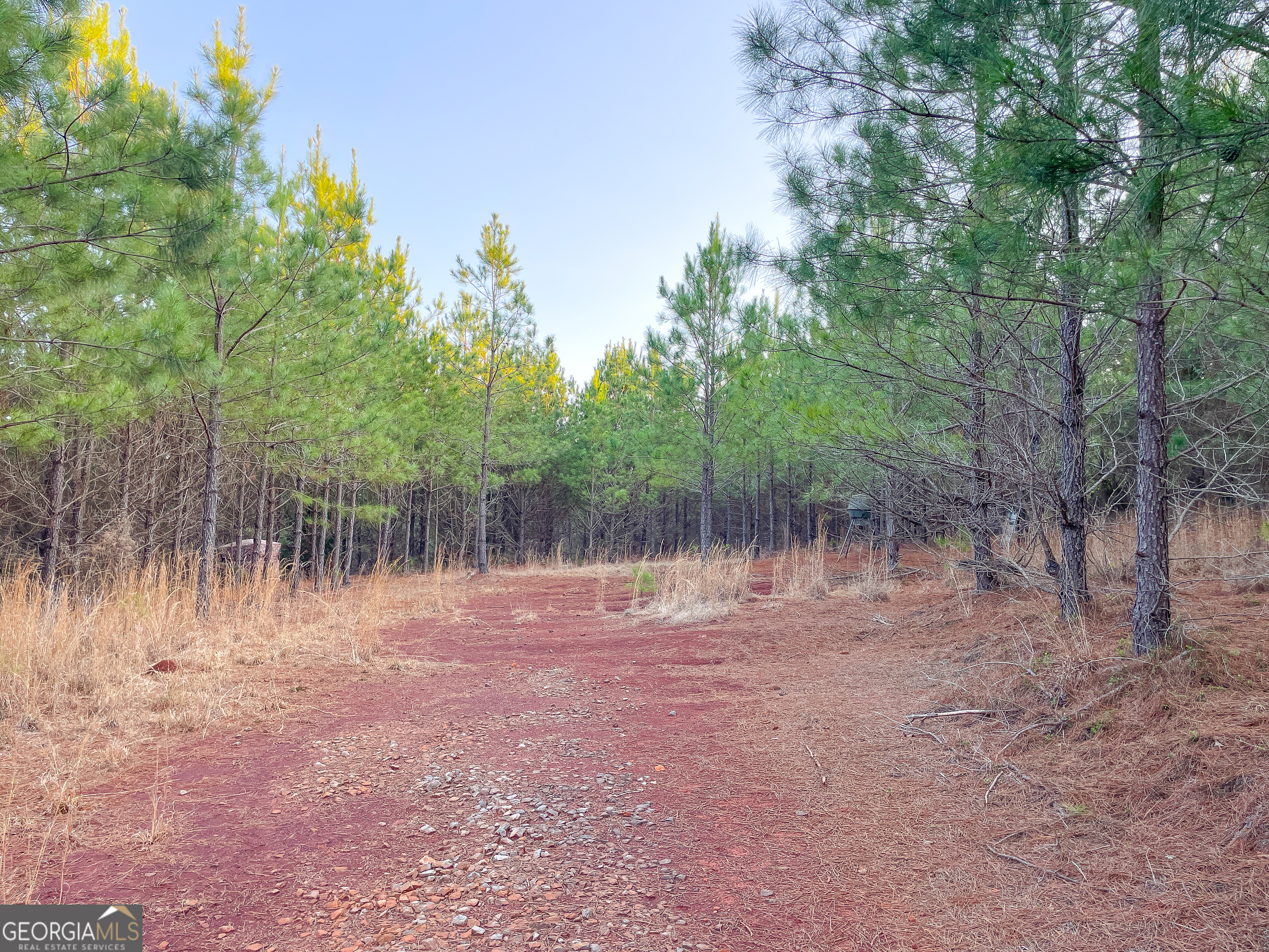 91 +/- Acres On Fosters Mill Road (GA Highway 100) Cave Spring GA 30124