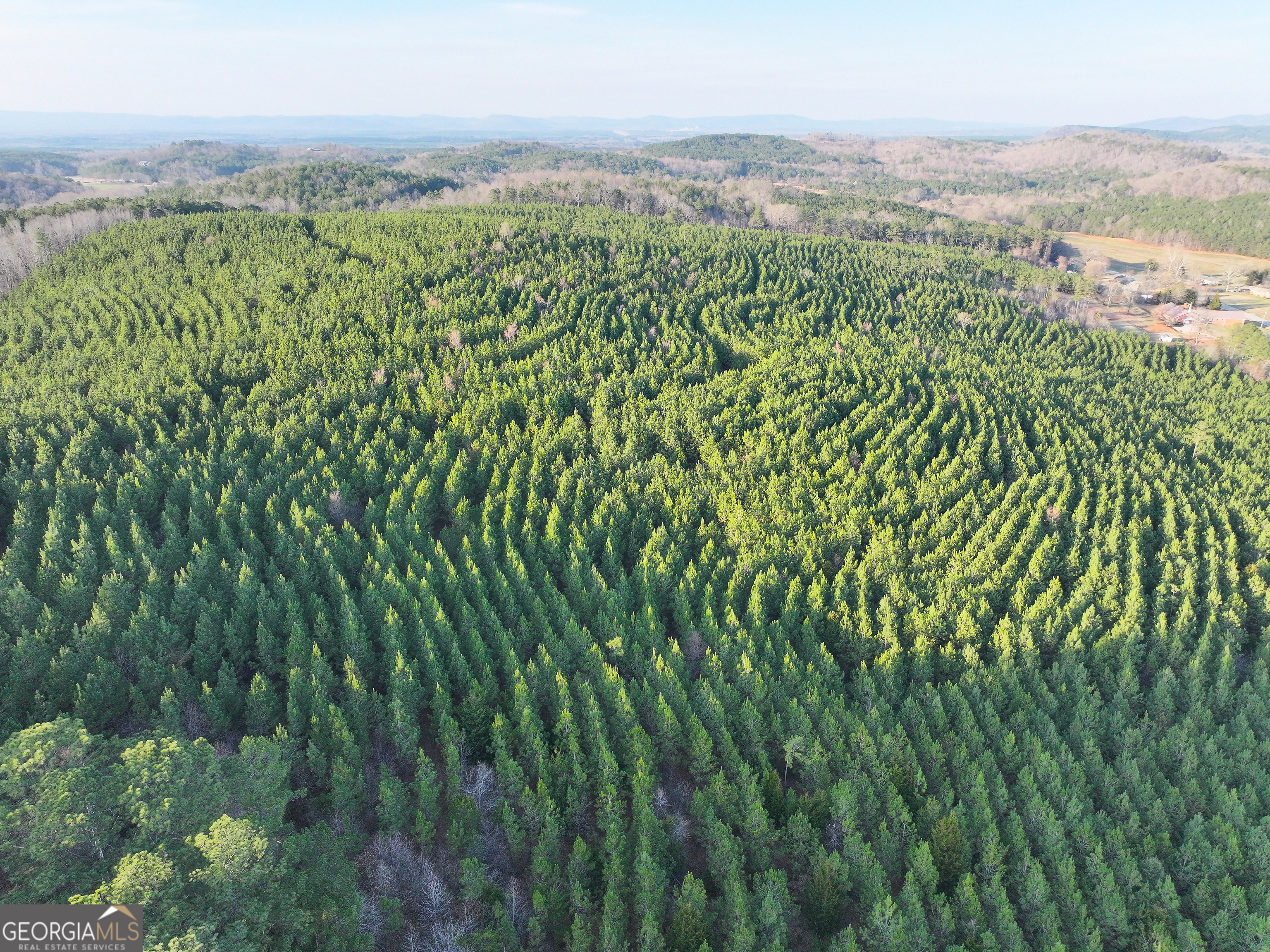 91 +/- Acres On Fosters Mill Road (GA Highway 100) Cave Spring GA 30124