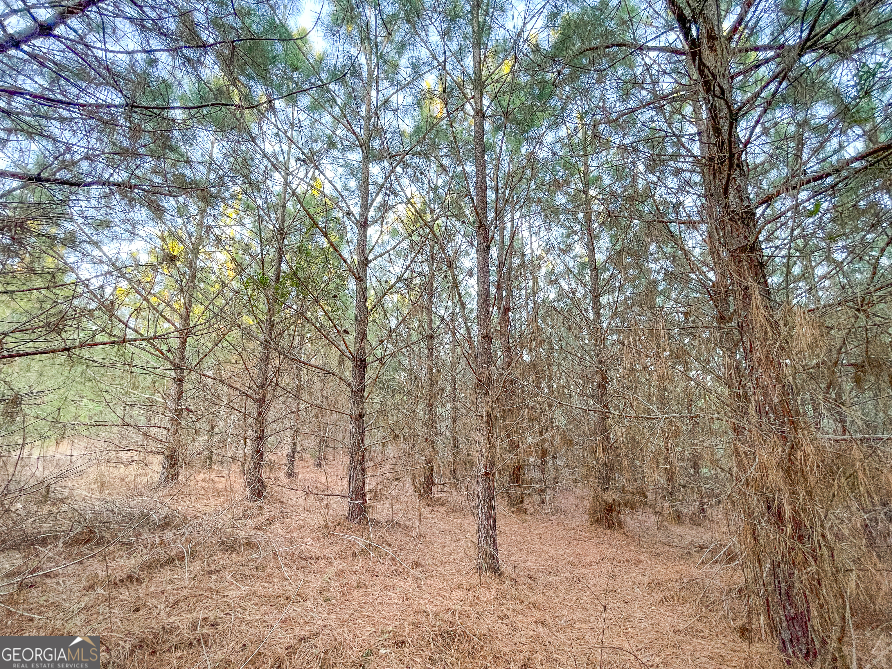 91 +/- Acres On Fosters Mill Road (GA Highway 100) Cave Spring GA 30124