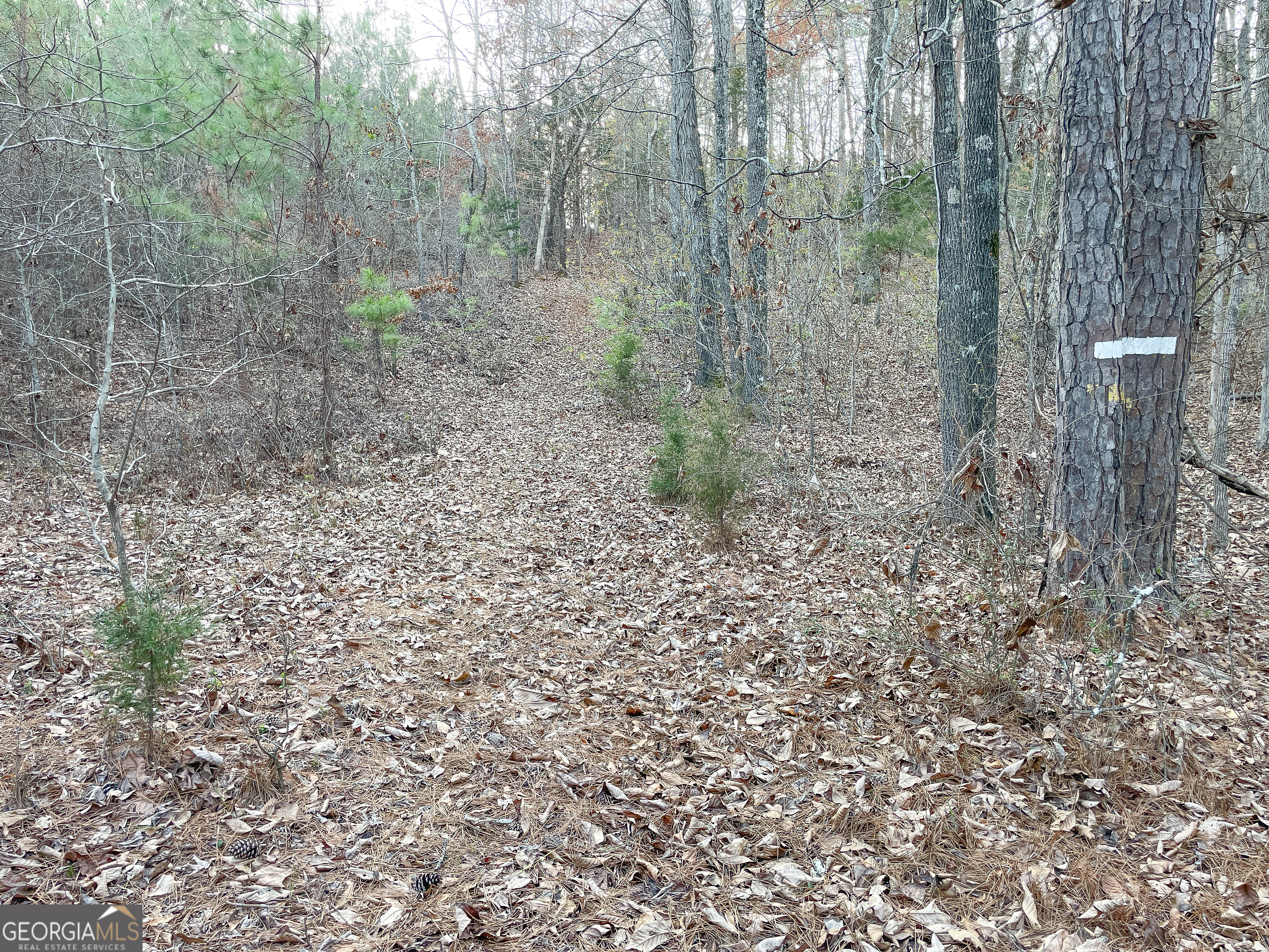 91 +/- Acres On Fosters Mill Road (GA Highway 100) Cave Spring GA 30124