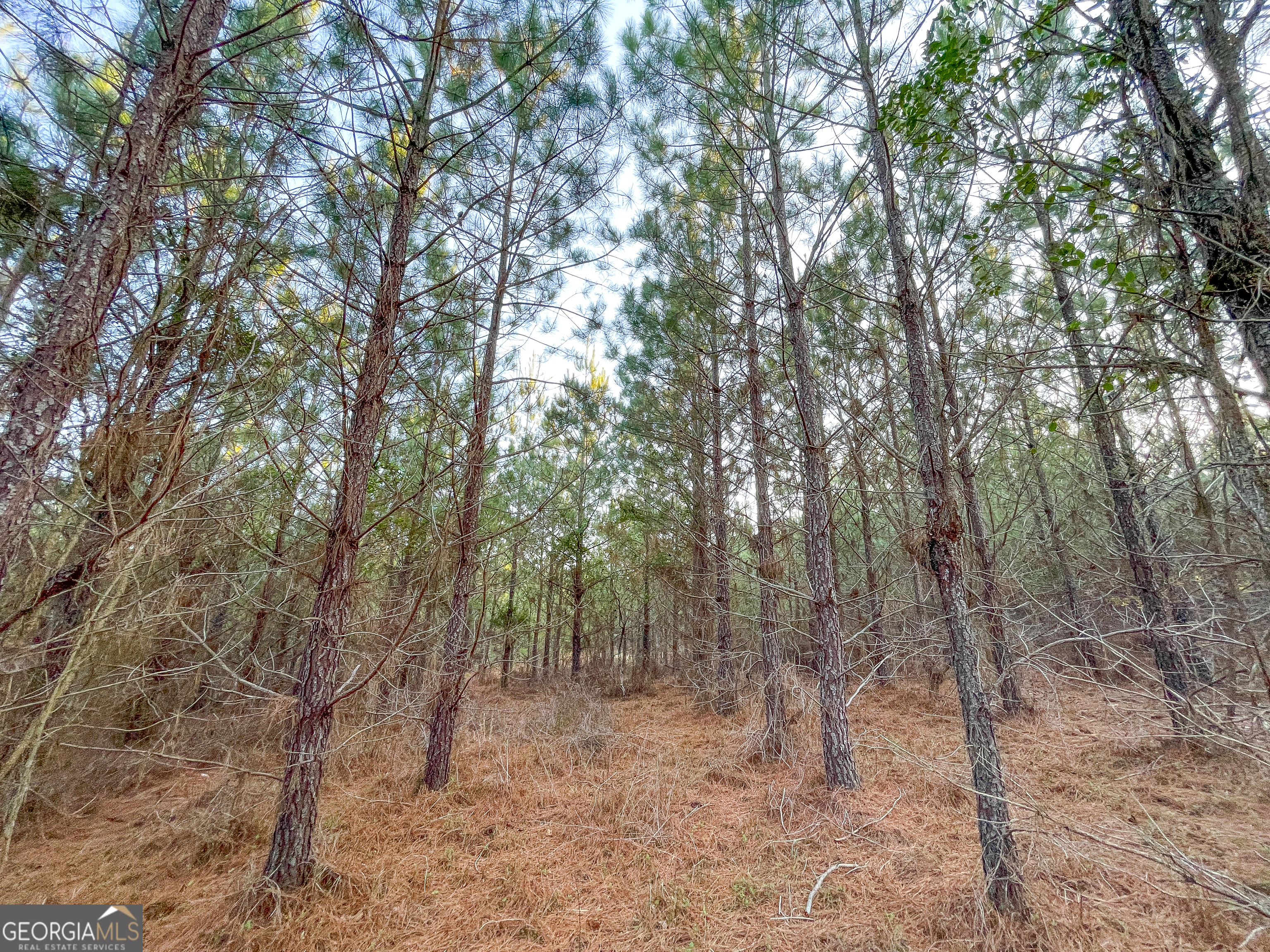 91 +/- Acres On Fosters Mill Road (GA Highway 100) Cave Spring GA 30124