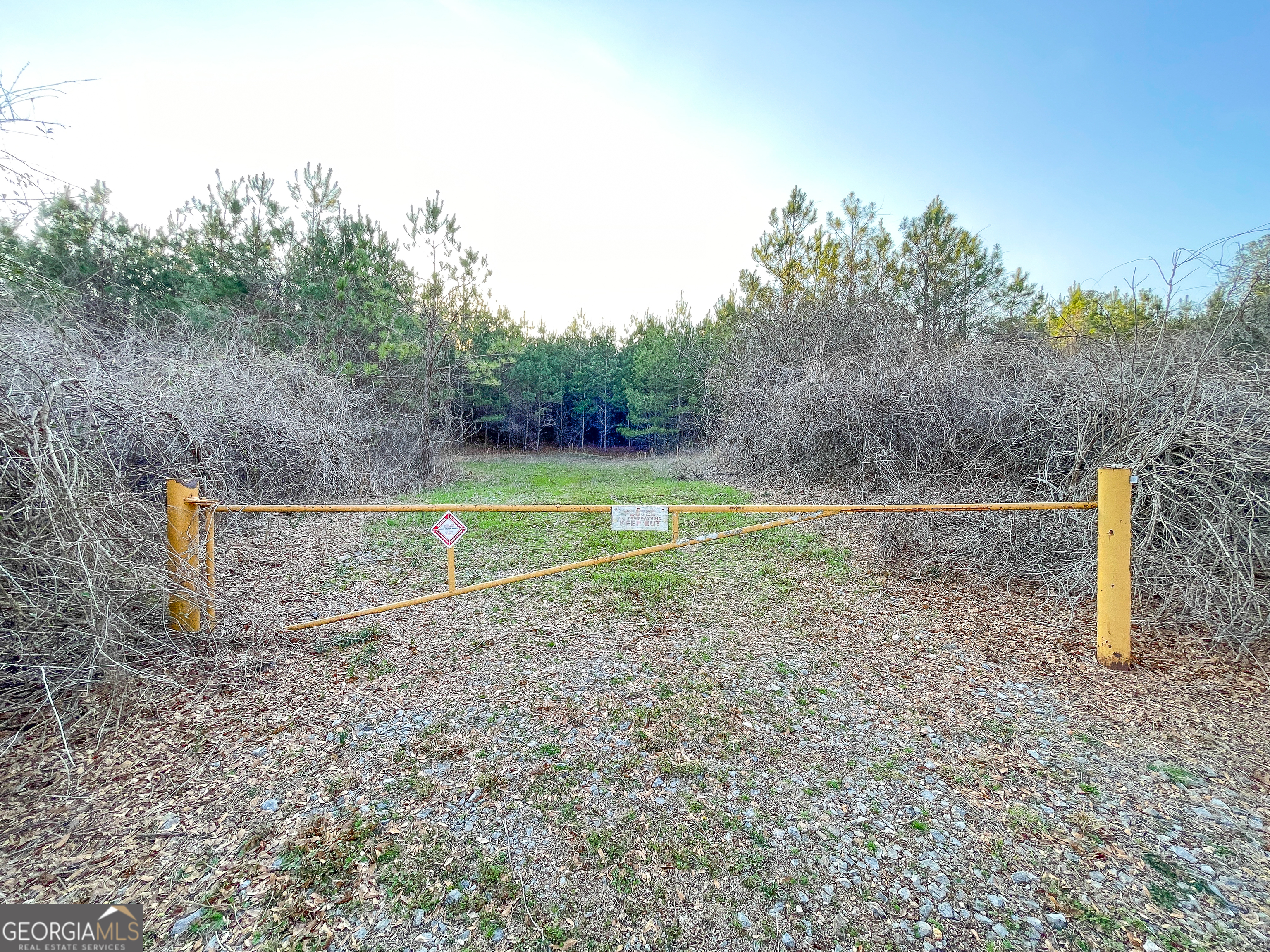 91 +/- Acres On Fosters Mill Road (GA Highway 100) Cave Spring GA 30124