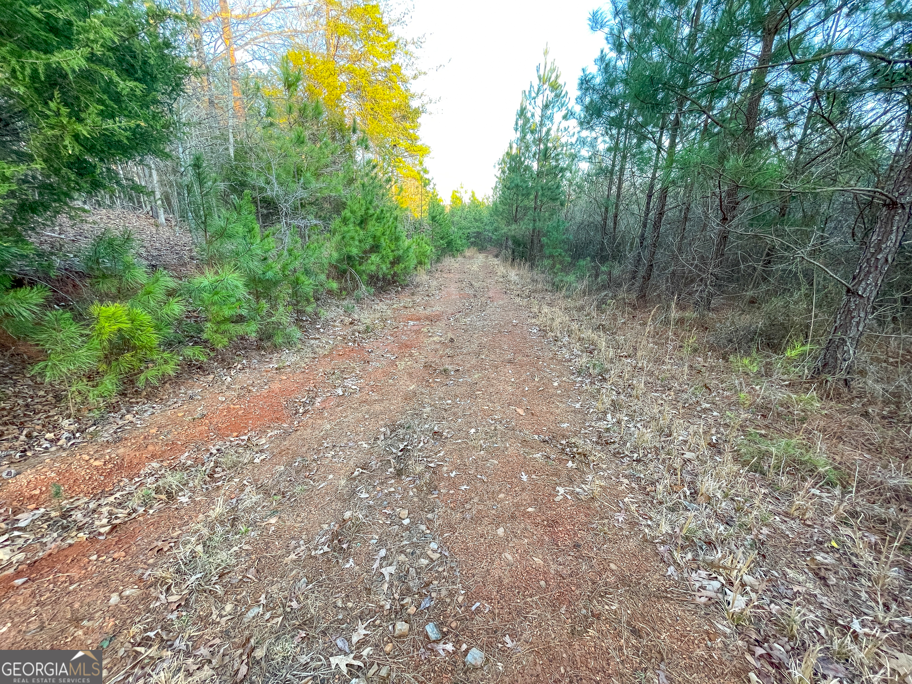 91 +/- Acres On Fosters Mill Road (GA Highway 100) Cave Spring GA 30124