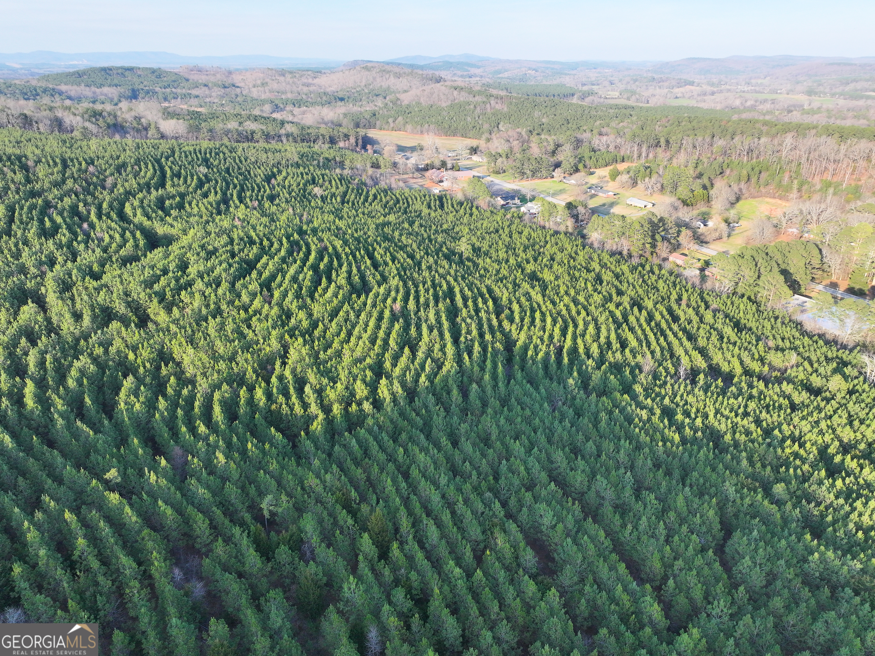 91 +/- Acres On Fosters Mill Road (GA Highway 100) Cave Spring GA 30124