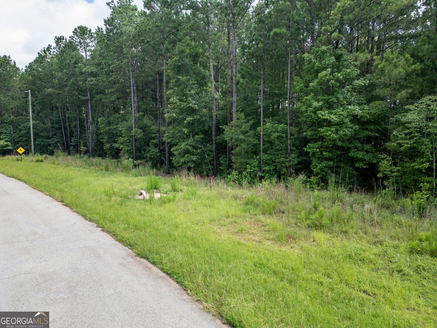 171 Preservation Drive Jackson GA 30233