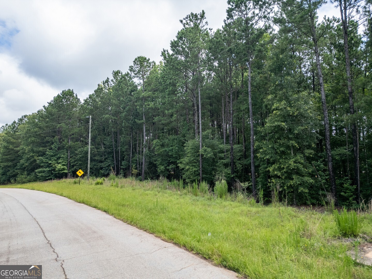171 Preservation Drive Jackson GA 30233