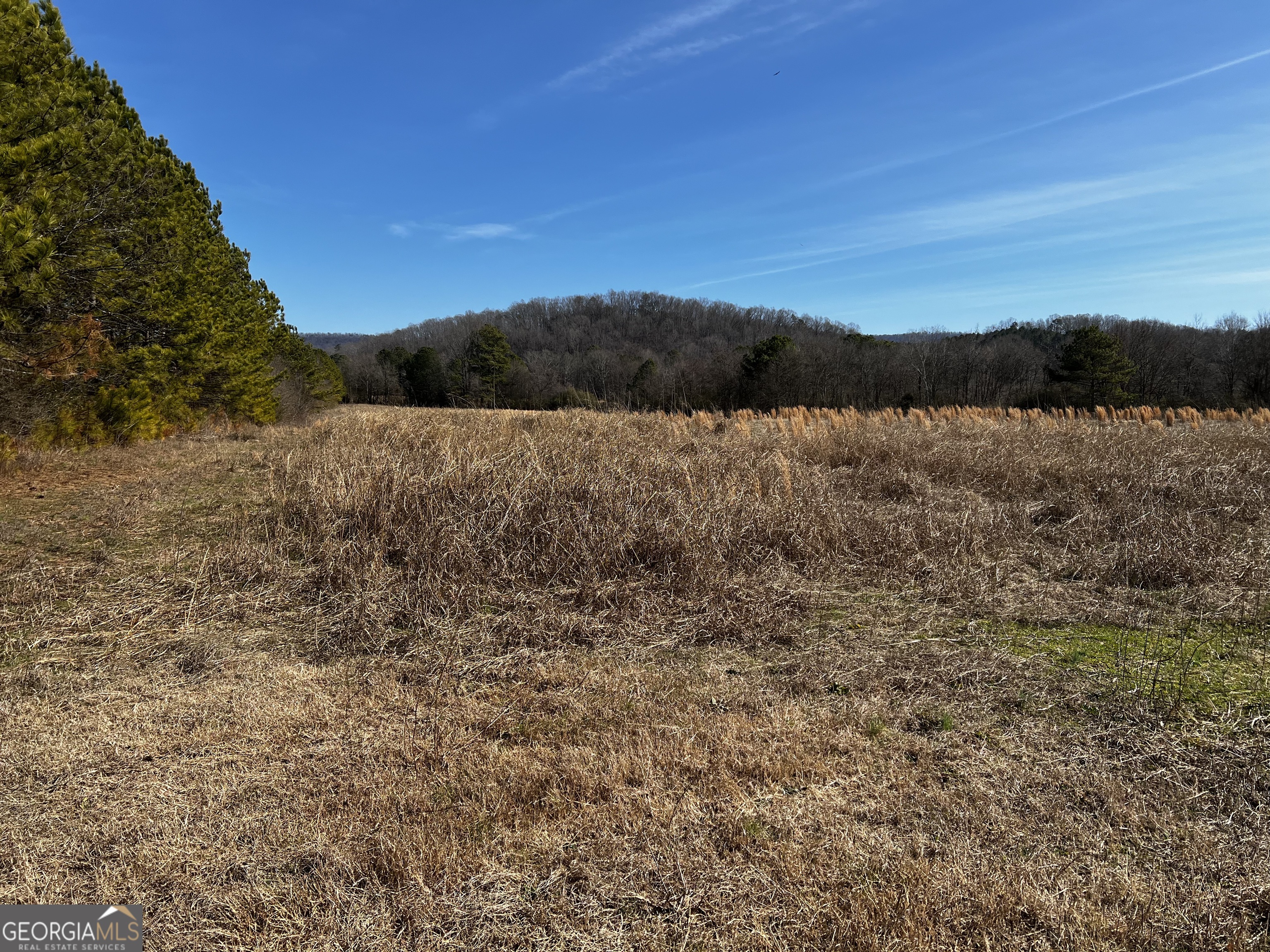 0 S Highway 27 Trion GA 30753