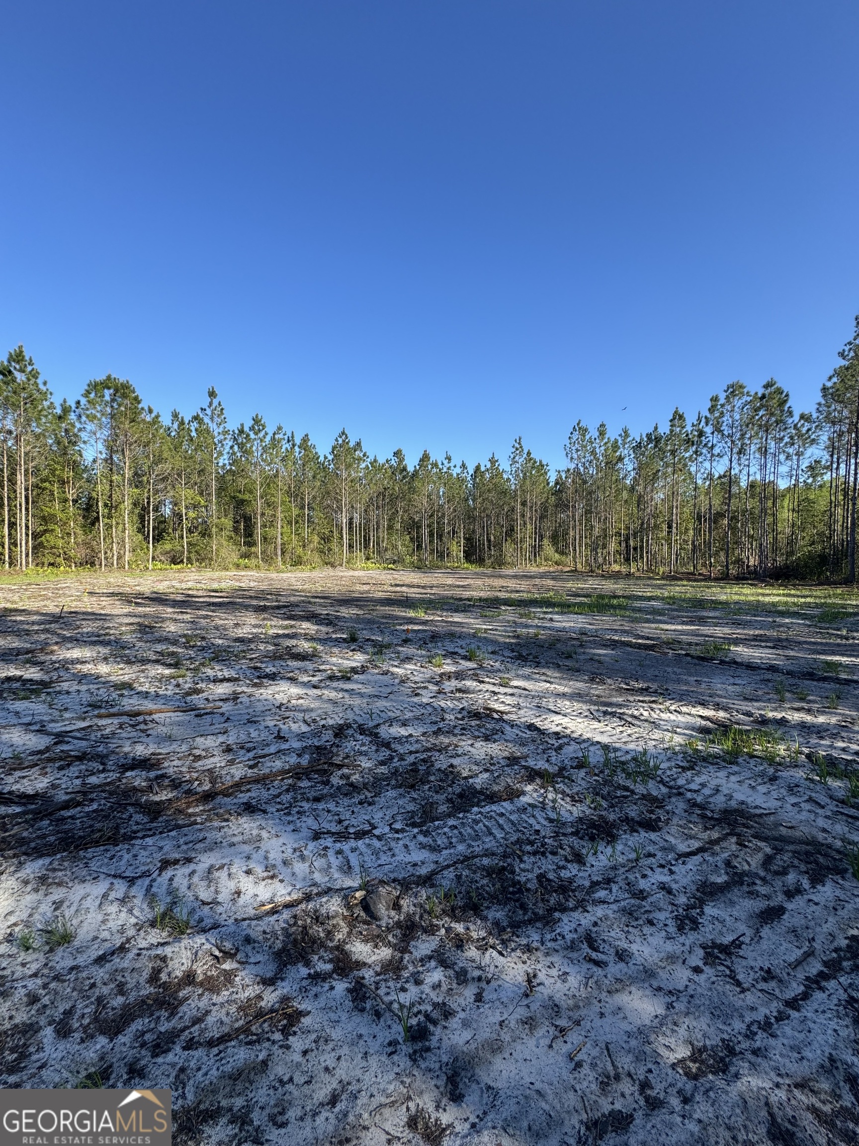 4490 Ga Highway 259 White Oak GA 31568
