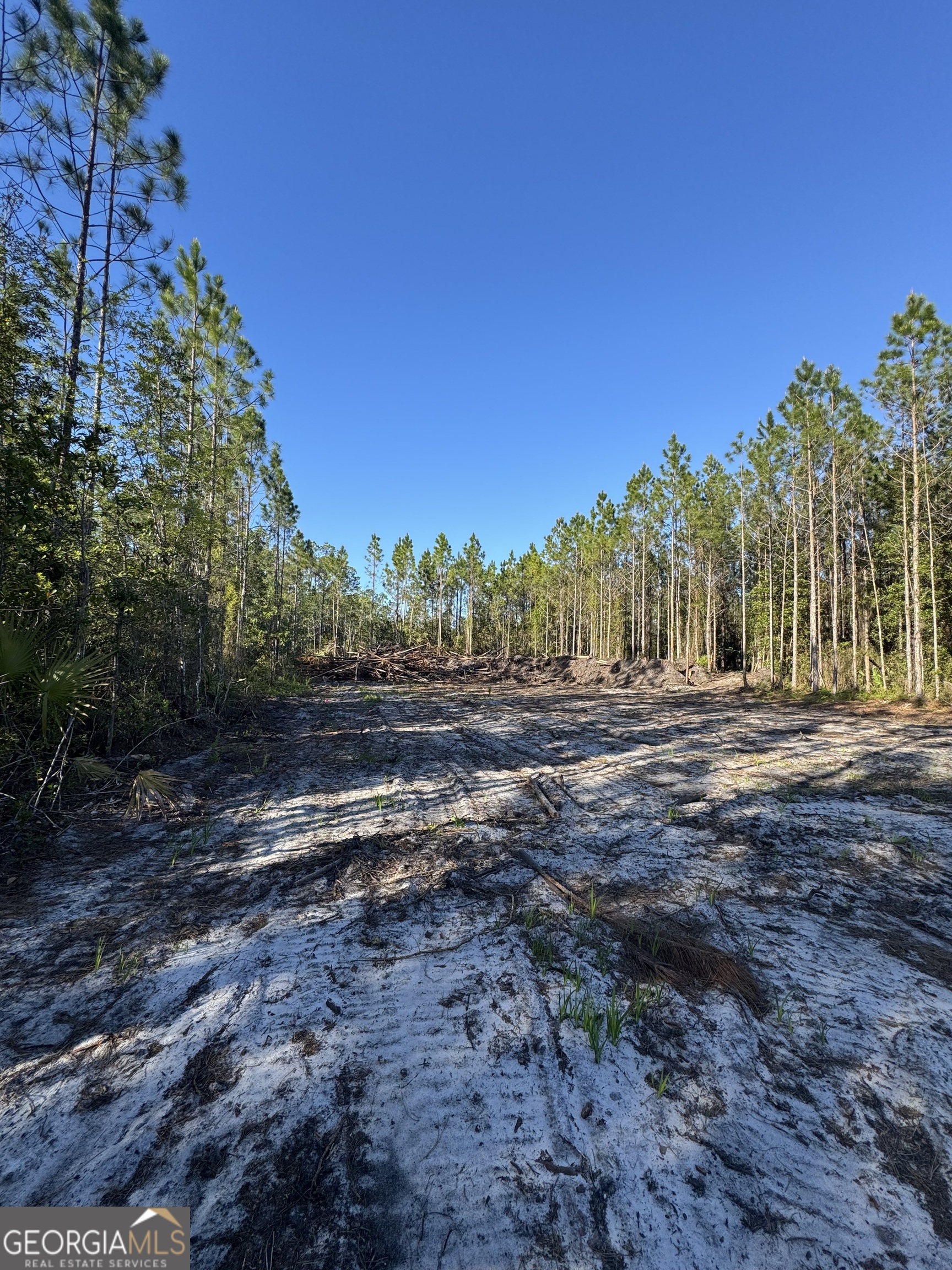 4490 Ga Highway 259 White Oak GA 31568