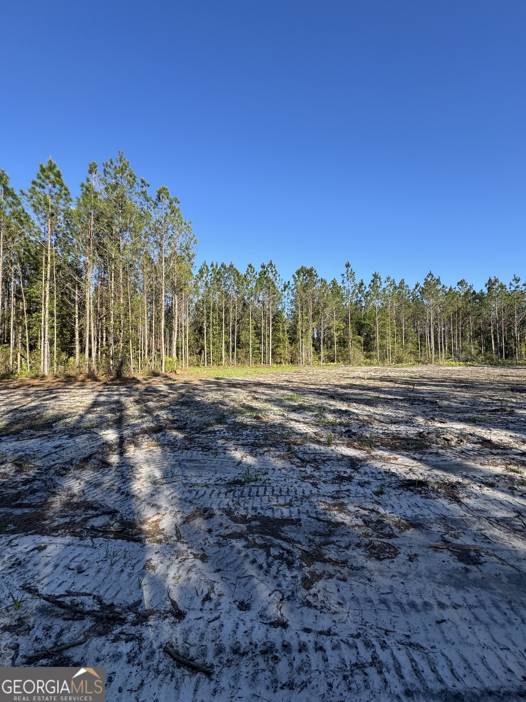 4490 Ga Highway 259 White Oak GA 31568