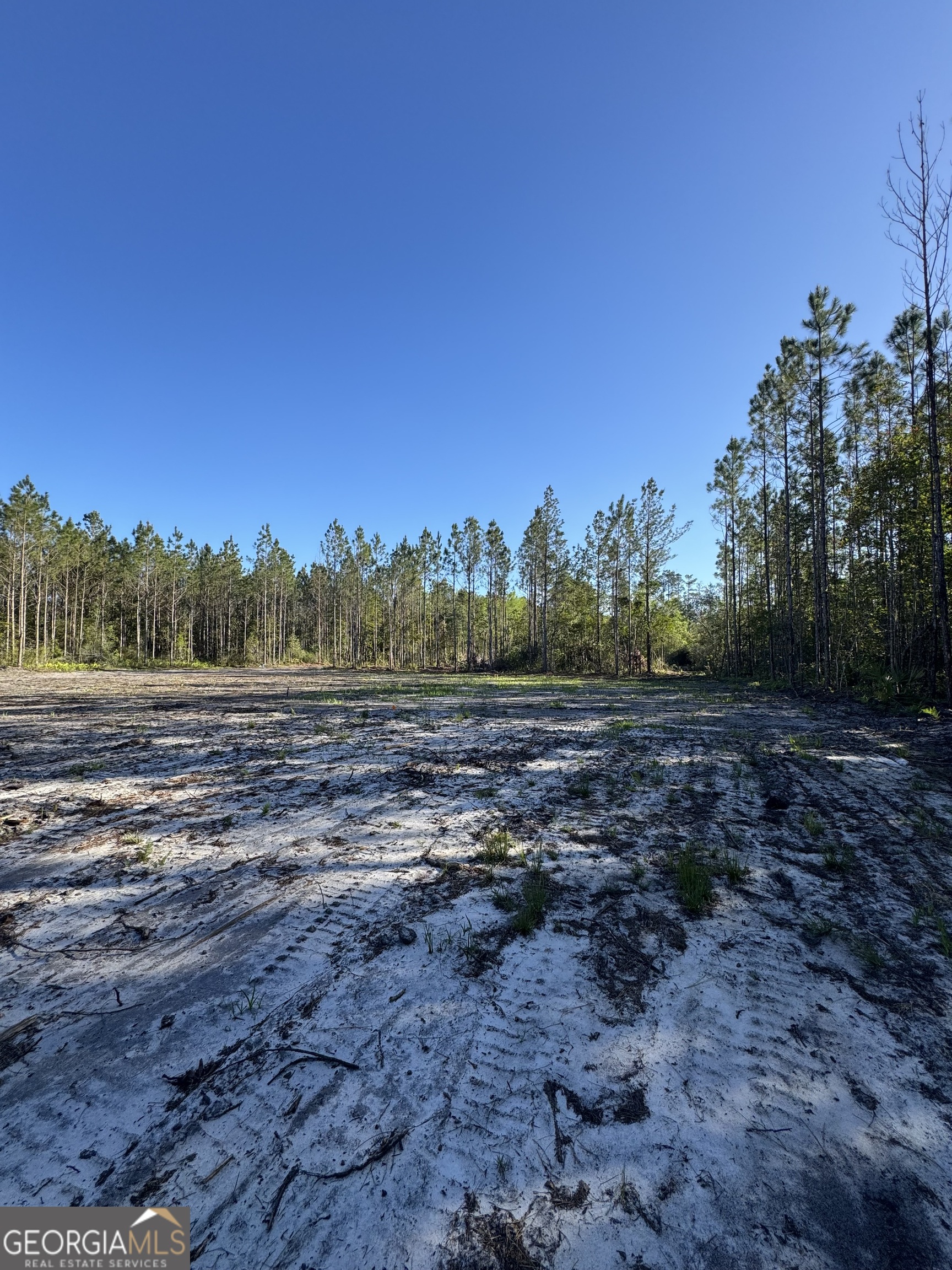 4490 Ga Highway 259 White Oak GA 31568