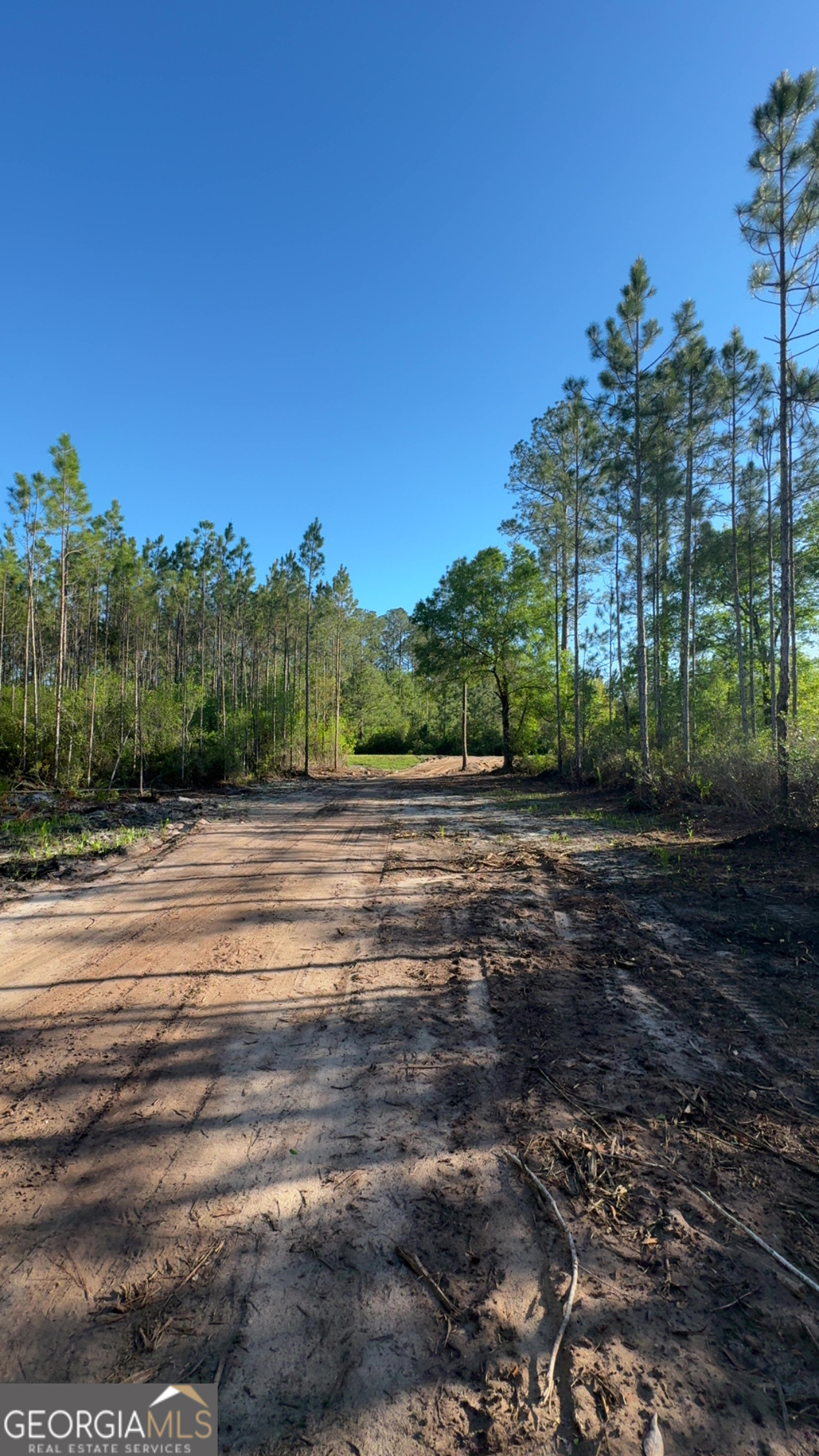 4490 Ga Highway 259 White Oak GA 31568
