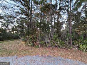 147 Picket Run Brunswick GA 31520