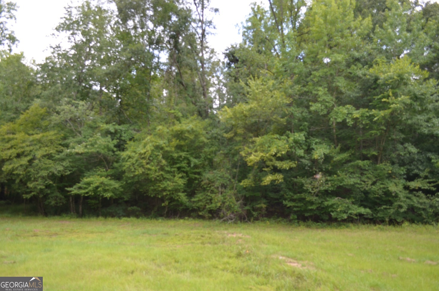 Lot 13 Cardiff Juliette GA 31046