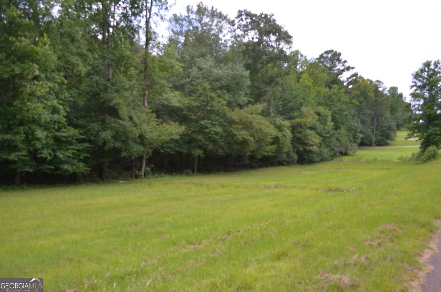 Lot 13 Cardiff Juliette GA 31046