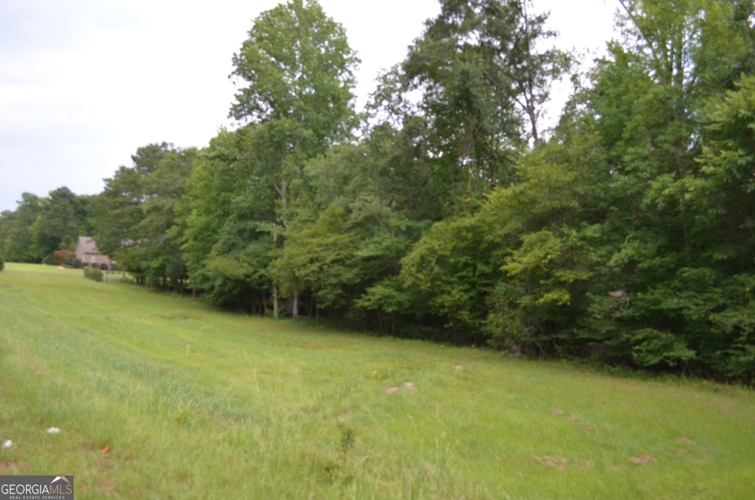 Lot 13 Cardiff Juliette GA 31046
