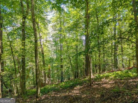 Lot 100 River Oaks Terrace Ellijay GA 30536