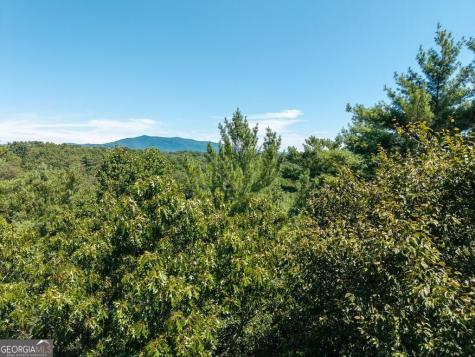 Lot 100 River Oaks Terrace Ellijay GA 30536