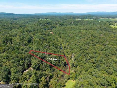 Lot 100 River Oaks Terrace Ellijay GA 30536