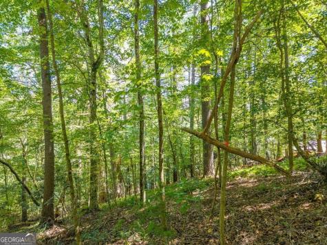 Lot 100 River Oaks Terrace Ellijay GA 30536