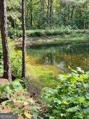 659 Piney Acres Road Blue Ridge GA 30513