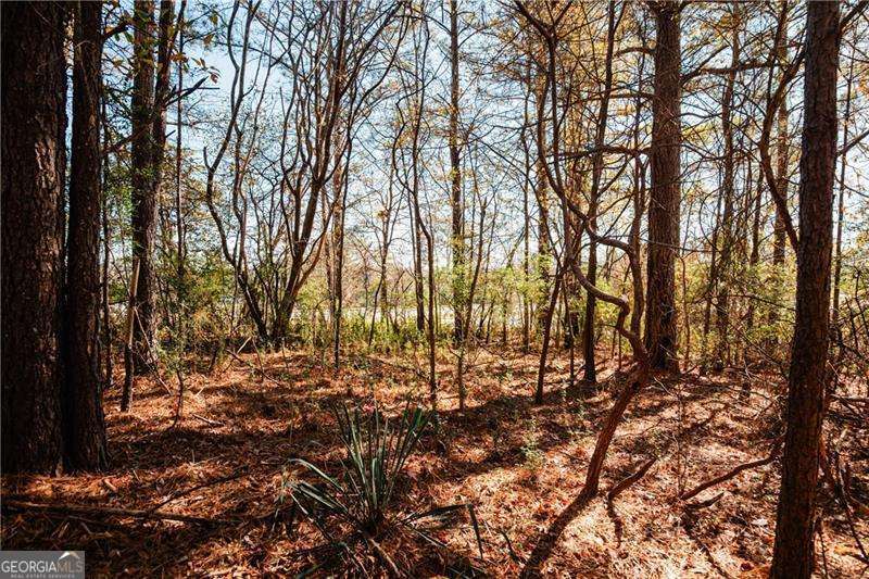0 Bill Carruth Parkway Hiram GA 30141