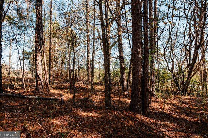 0 Bill Carruth Parkway Hiram GA 30141