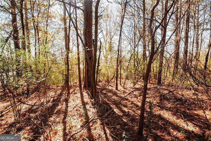 0 Bill Carruth Parkway Hiram GA 30141