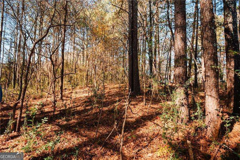 0 Bill Carruth Parkway Hiram GA 30141