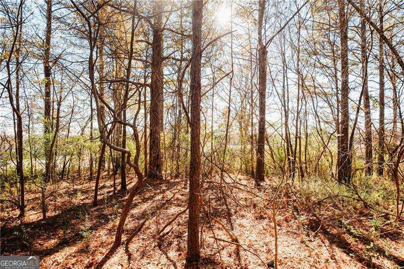 0 Bill Carruth Parkway Hiram GA 30141