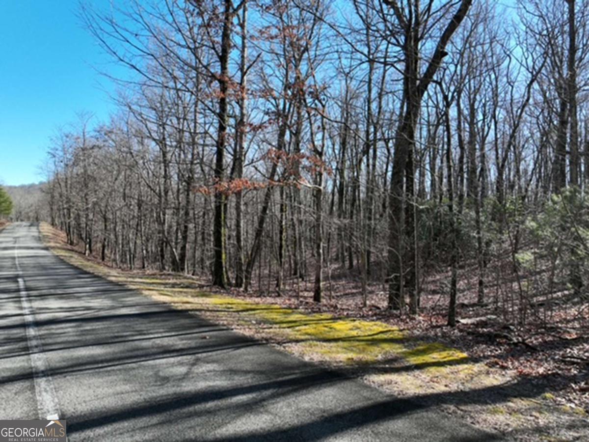 184 Street Andrews Way Ellijay GA 30536