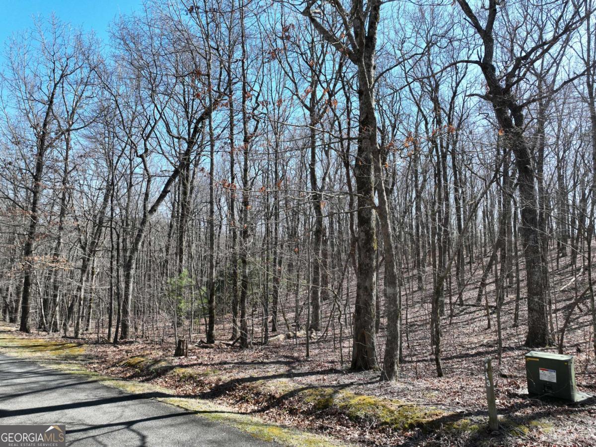 184 Street Andrews Way Ellijay GA 30536