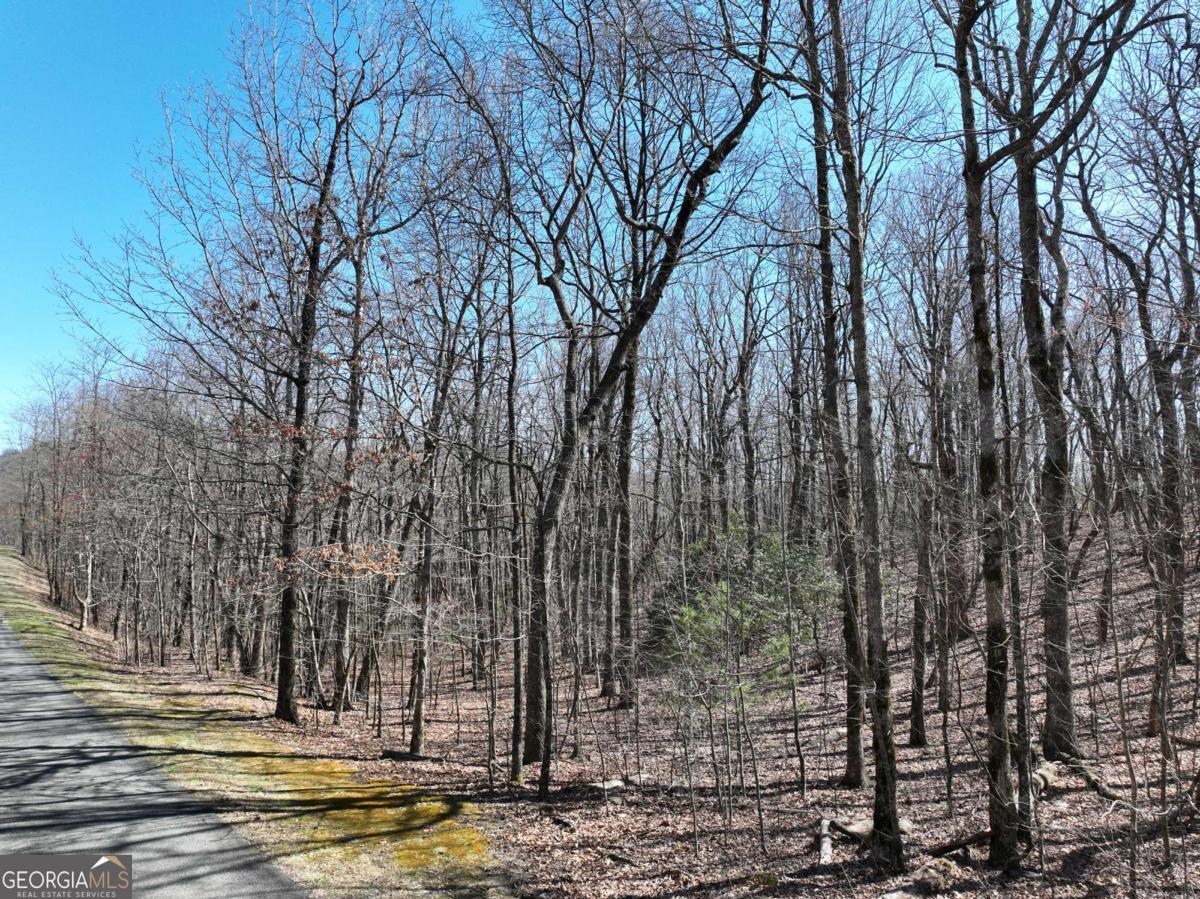 184 Street Andrews Way Ellijay GA 30536