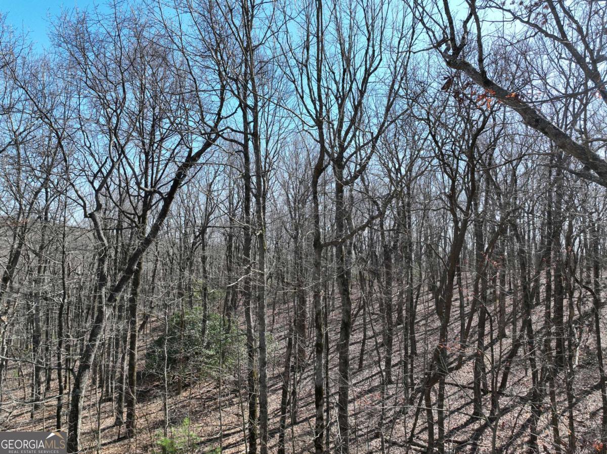 184 Street Andrews Way Ellijay GA 30536